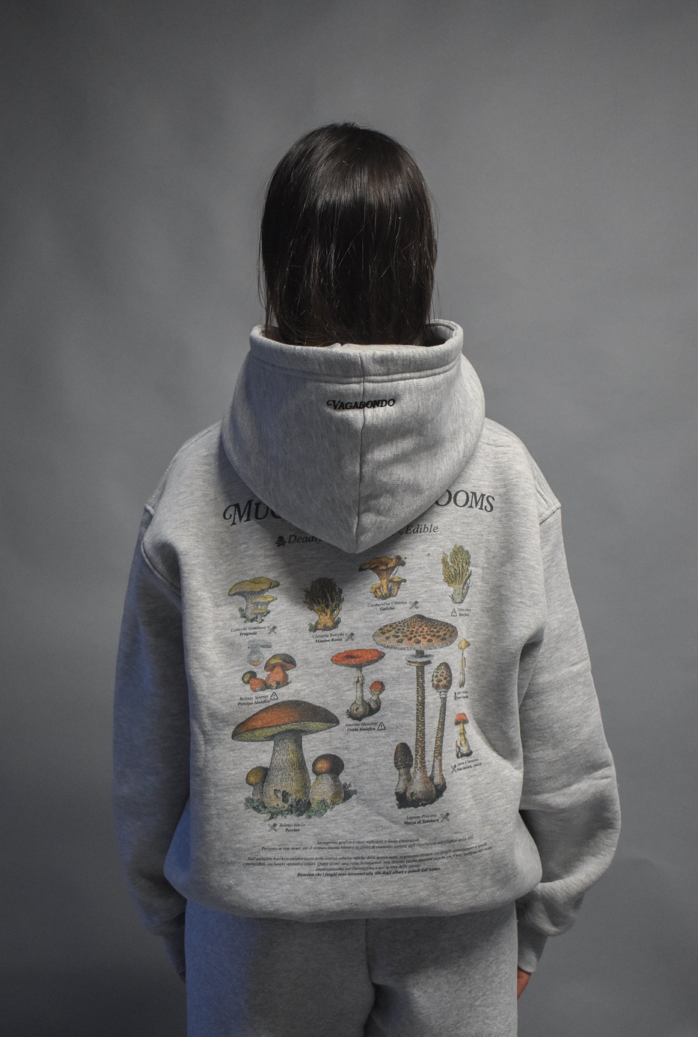 SHROOMS Heavyiweight Hoodie